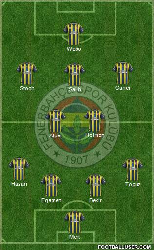 Fenerbahçe SK Formation 2013