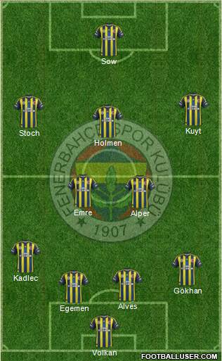 Fenerbahçe SK Formation 2013