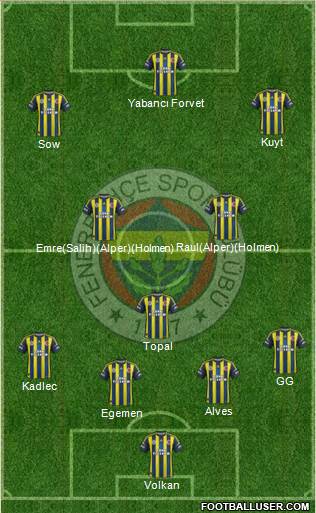 Fenerbahçe SK Formation 2013