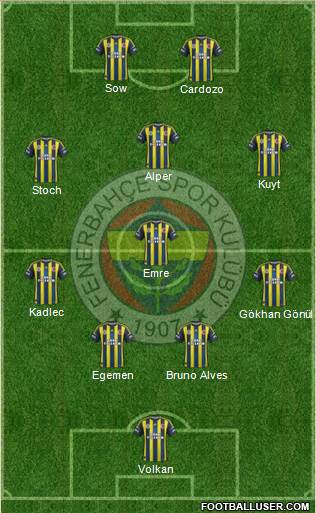 Fenerbahçe SK Formation 2013