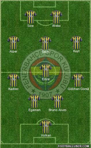 Fenerbahçe SK Formation 2013
