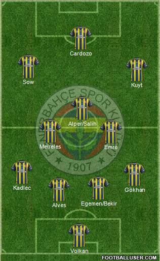 Fenerbahçe SK Formation 2013