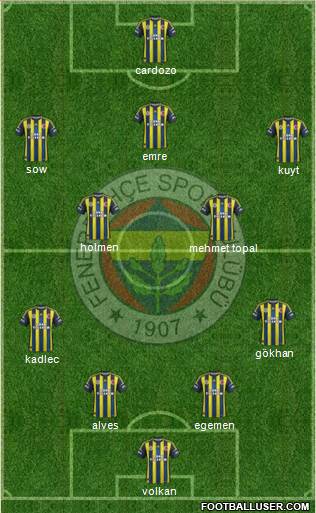 Fenerbahçe SK Formation 2013