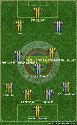 Fenerbahçe SK Formation 2013