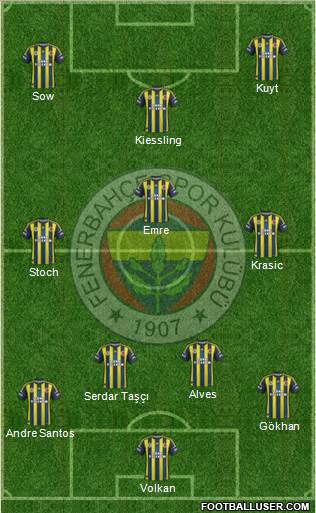 Fenerbahçe SK Formation 2013