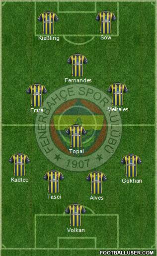 Fenerbahçe SK Formation 2013