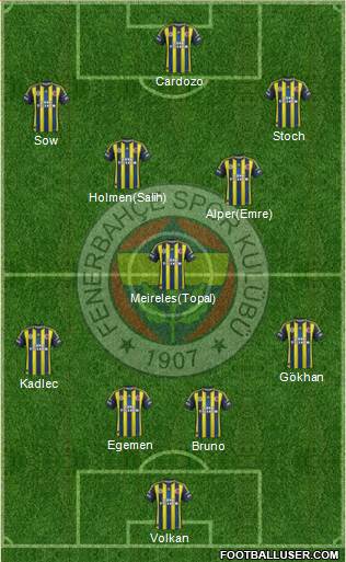 Fenerbahçe SK Formation 2013