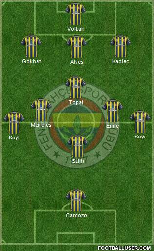 Fenerbahçe SK Formation 2013