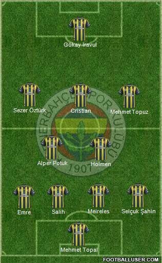 Fenerbahçe SK Formation 2013