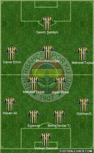 Fenerbahçe SK Formation 2013