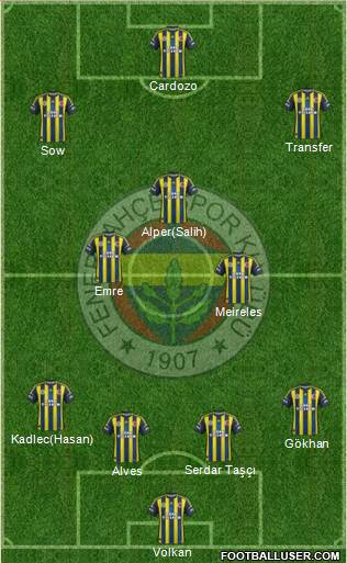 Fenerbahçe SK Formation 2013