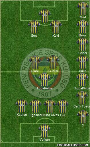 Fenerbahçe SK Formation 2013