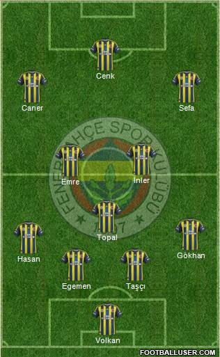 Fenerbahçe SK Formation 2013