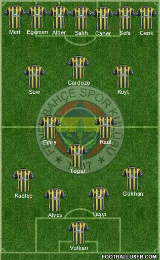 Fenerbahçe SK Formation 2013