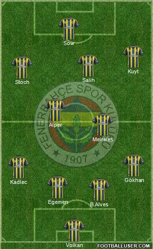 Fenerbahçe SK Formation 2013