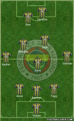 Fenerbahçe SK Formation 2013