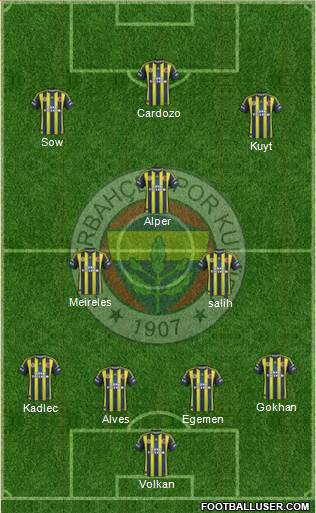 Fenerbahçe SK Formation 2013