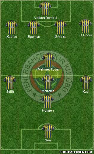 Fenerbahçe SK Formation 2013