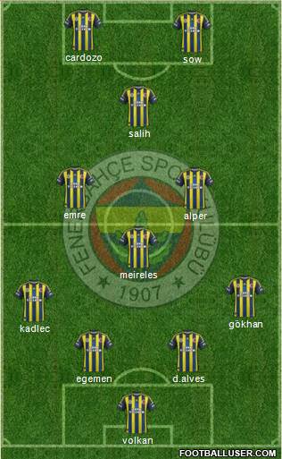 Fenerbahçe SK Formation 2013