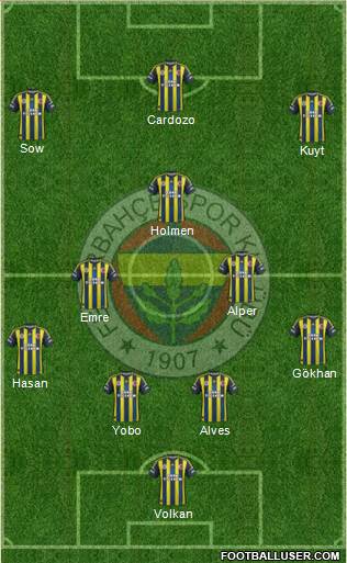 Fenerbahçe SK Formation 2013