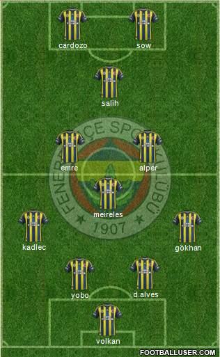Fenerbahçe SK Formation 2013