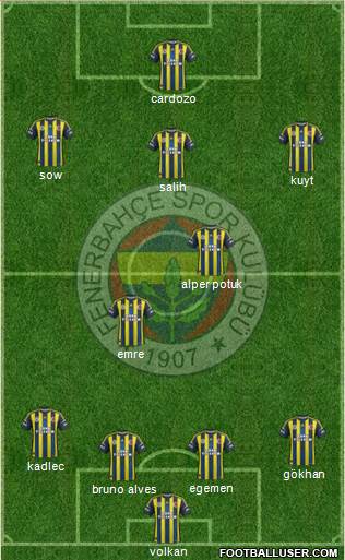 Fenerbahçe SK Formation 2013