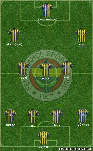 Fenerbahçe SK Formation 2013