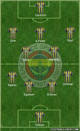 Fenerbahçe SK Formation 2013