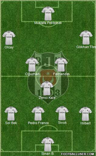 Besiktas JK Formation 2013