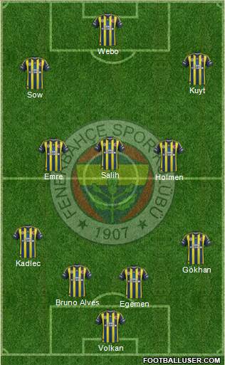 Fenerbahçe SK Formation 2013