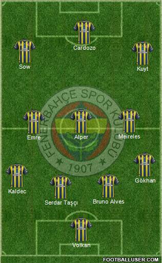 Fenerbahçe SK Formation 2013