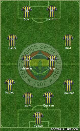 Fenerbahçe SK Formation 2013