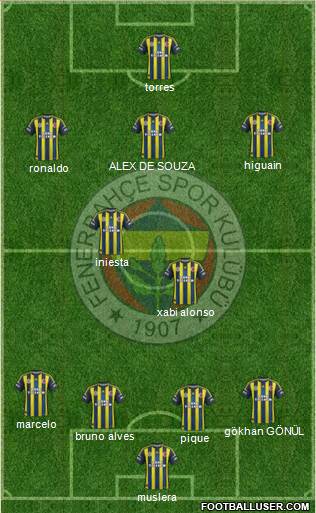 Fenerbahçe SK Formation 2013