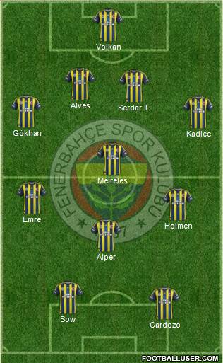 Fenerbahçe SK Formation 2013