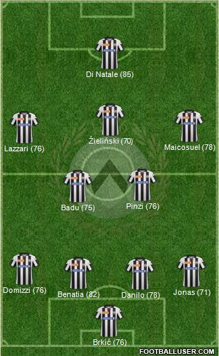 Udinese Formation 2013