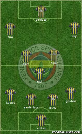 Fenerbahçe SK Formation 2013