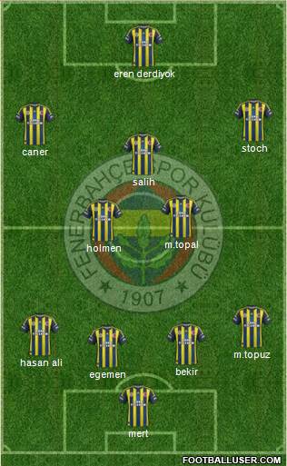 Fenerbahçe SK Formation 2013
