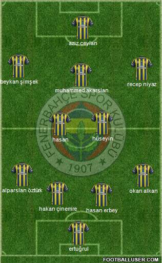 Fenerbahçe SK Formation 2013