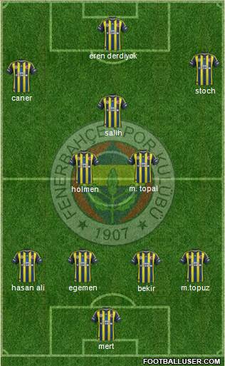 Fenerbahçe SK Formation 2013