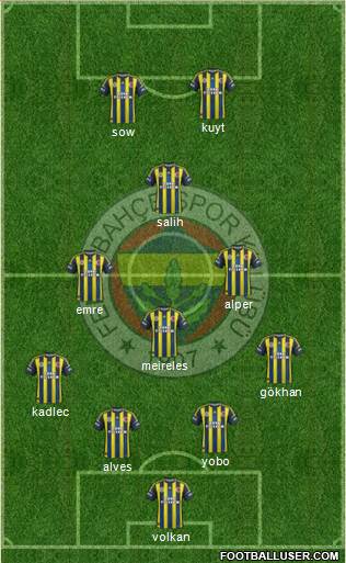 Fenerbahçe SK Formation 2013