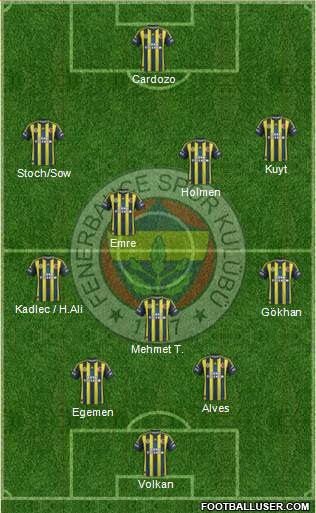 Fenerbahçe SK Formation 2013