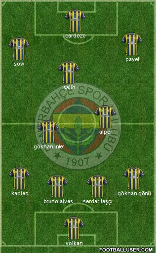 Fenerbahçe SK Formation 2013