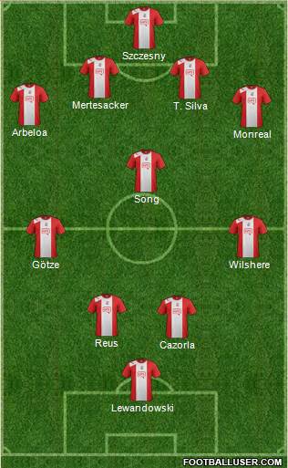 Crawley Town Formation 2013