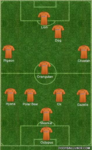 Wolverhampton Wanderers Formation 2013
