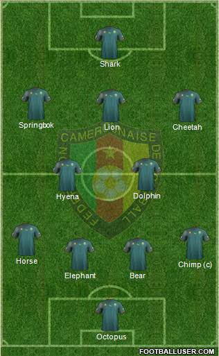 Cameroon Formation 2013