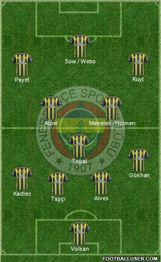 Fenerbahçe SK Formation 2013