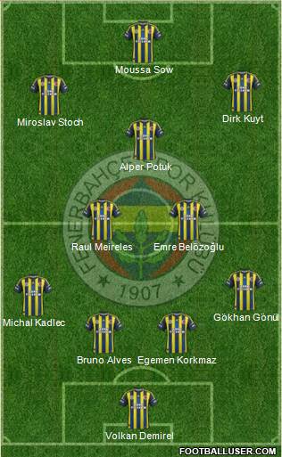Fenerbahçe SK Formation 2013