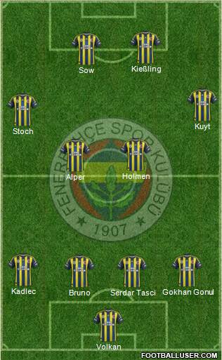 Fenerbahçe SK Formation 2013