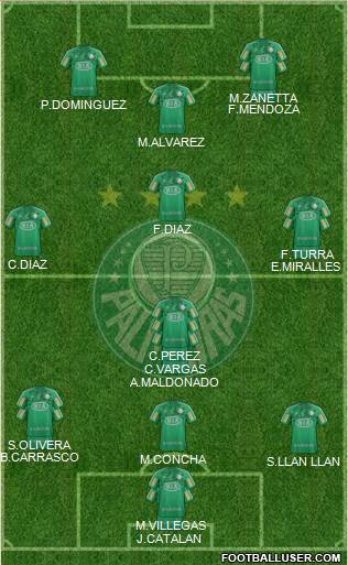 SE Palmeiras Formation 2013