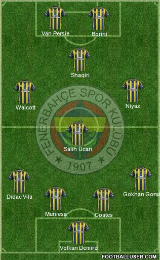 Fenerbahçe SK Formation 2013
